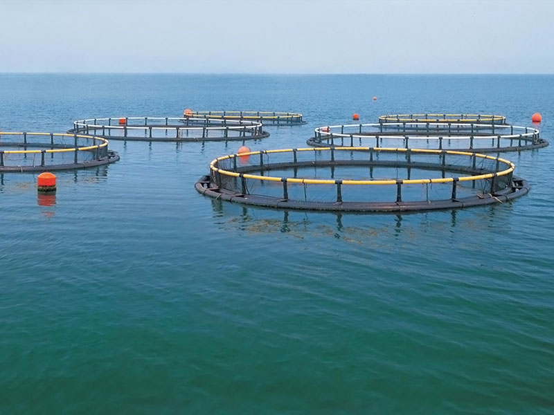 aquaculture